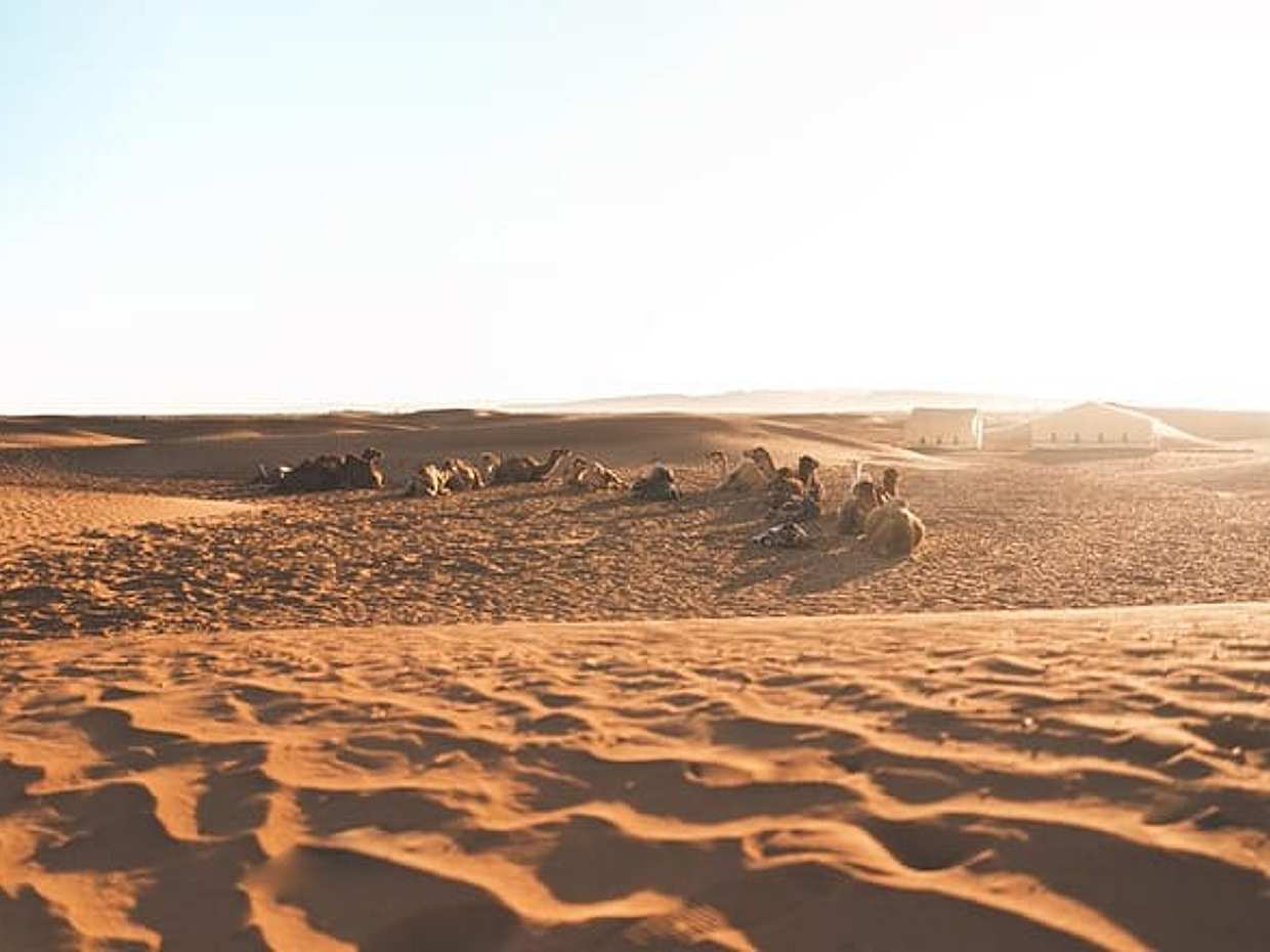 Private Desert Tour from Marrakech 2 days, photo 5
