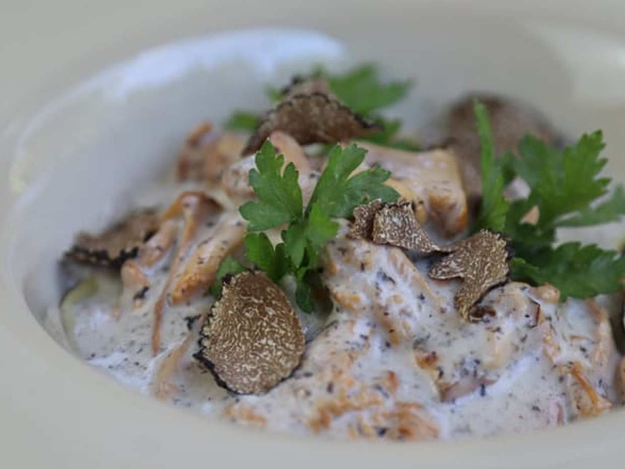 Truffle hunting demonstration and truffle lunch, photo 5