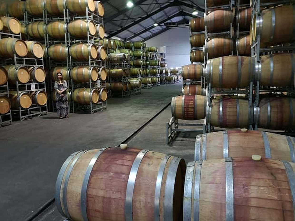Cape Town Based Private Full Day Tour to the Stellenbosch Wine Region, photo 4