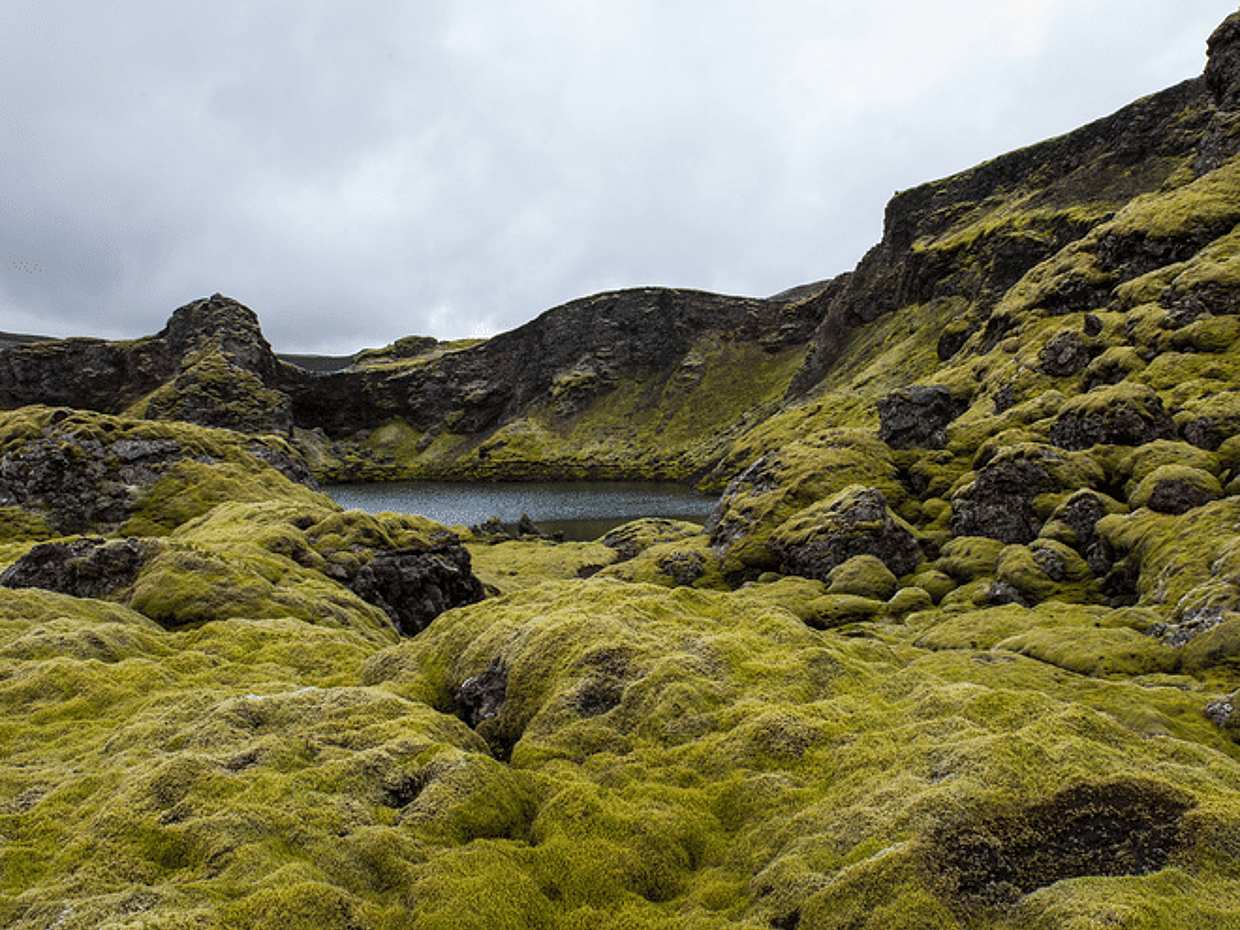 Laki Craters Private Super Jeep Adventure from Vik, photo 3
