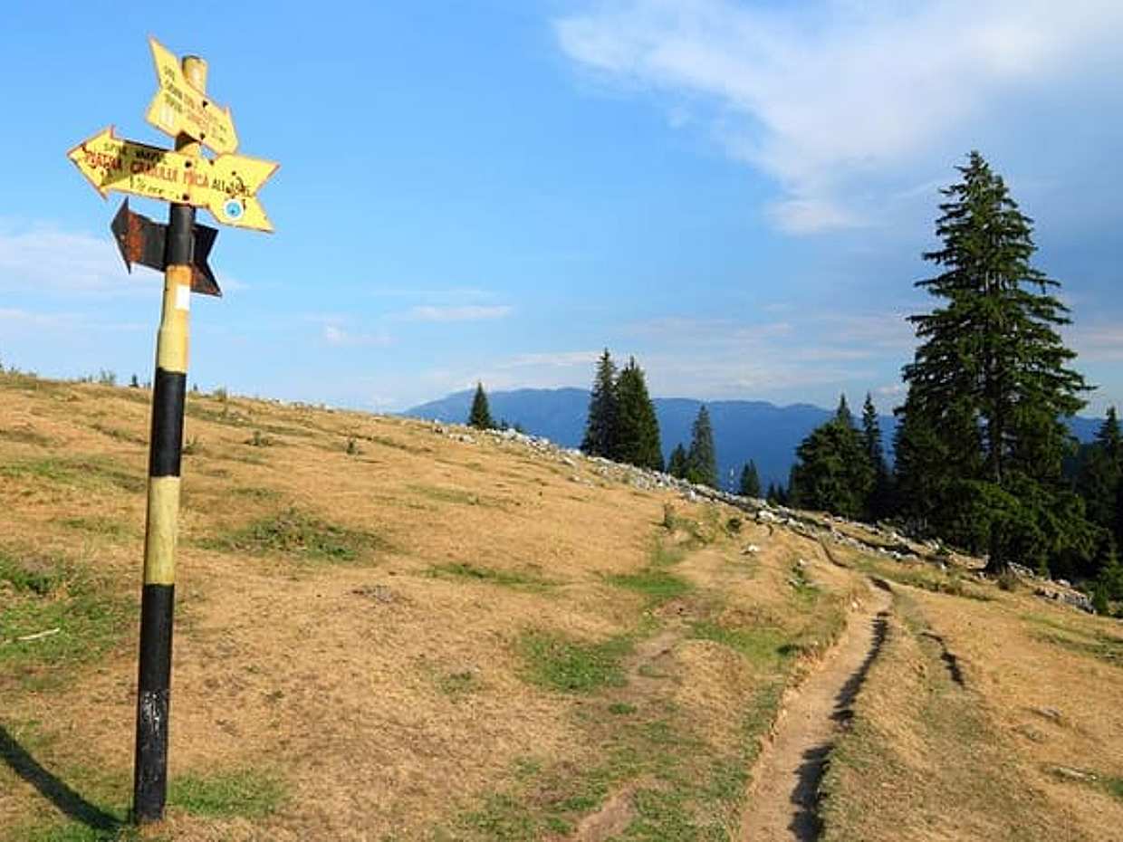 "Piatra Craiului Nationalpark Private Wandertour ab Brasov in Rumänien, Brașov", photo 2