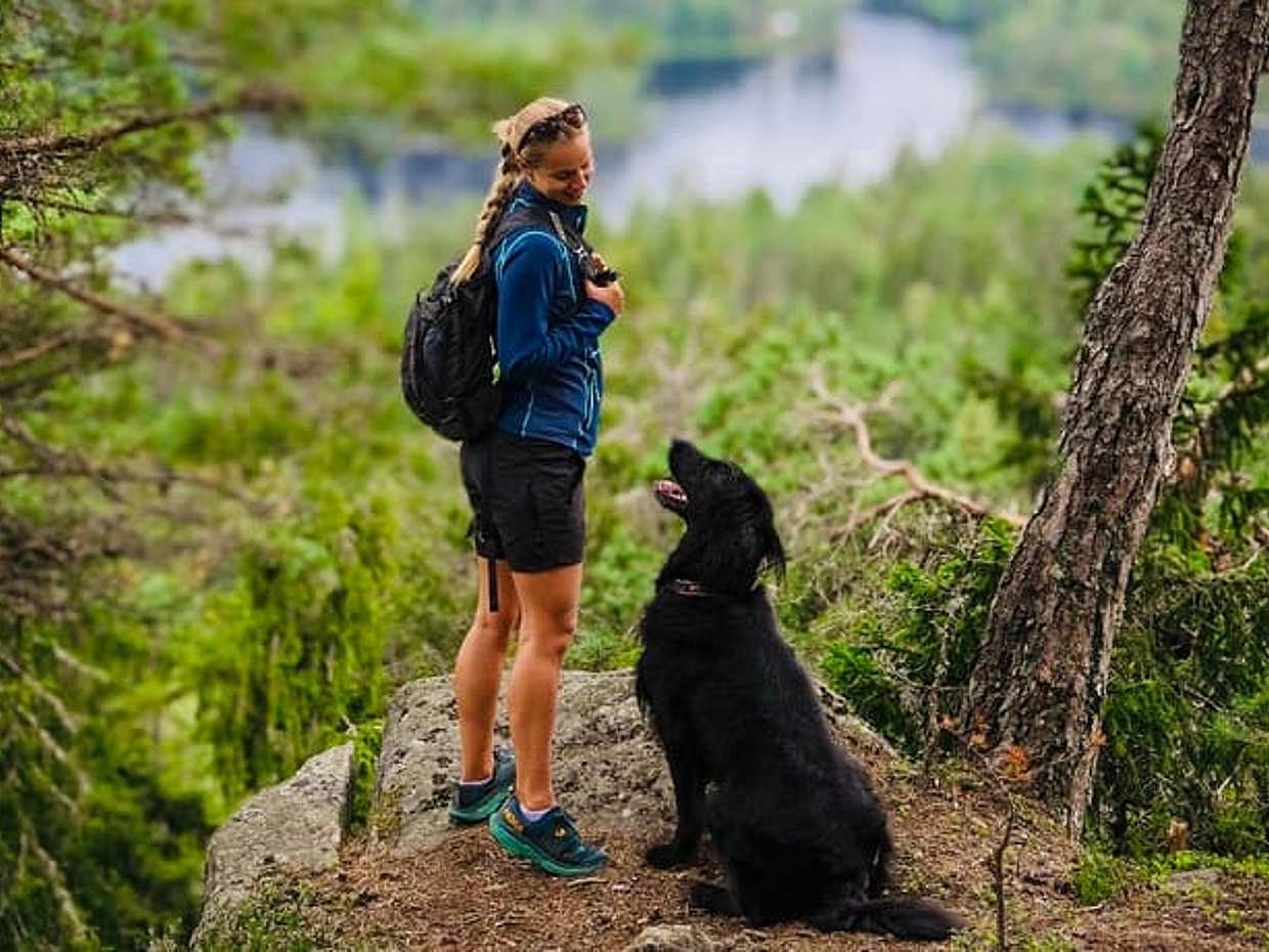 <p>Schilderachtige boswandeling met lokale gids en hond in Noorwegen, Oslo</p>