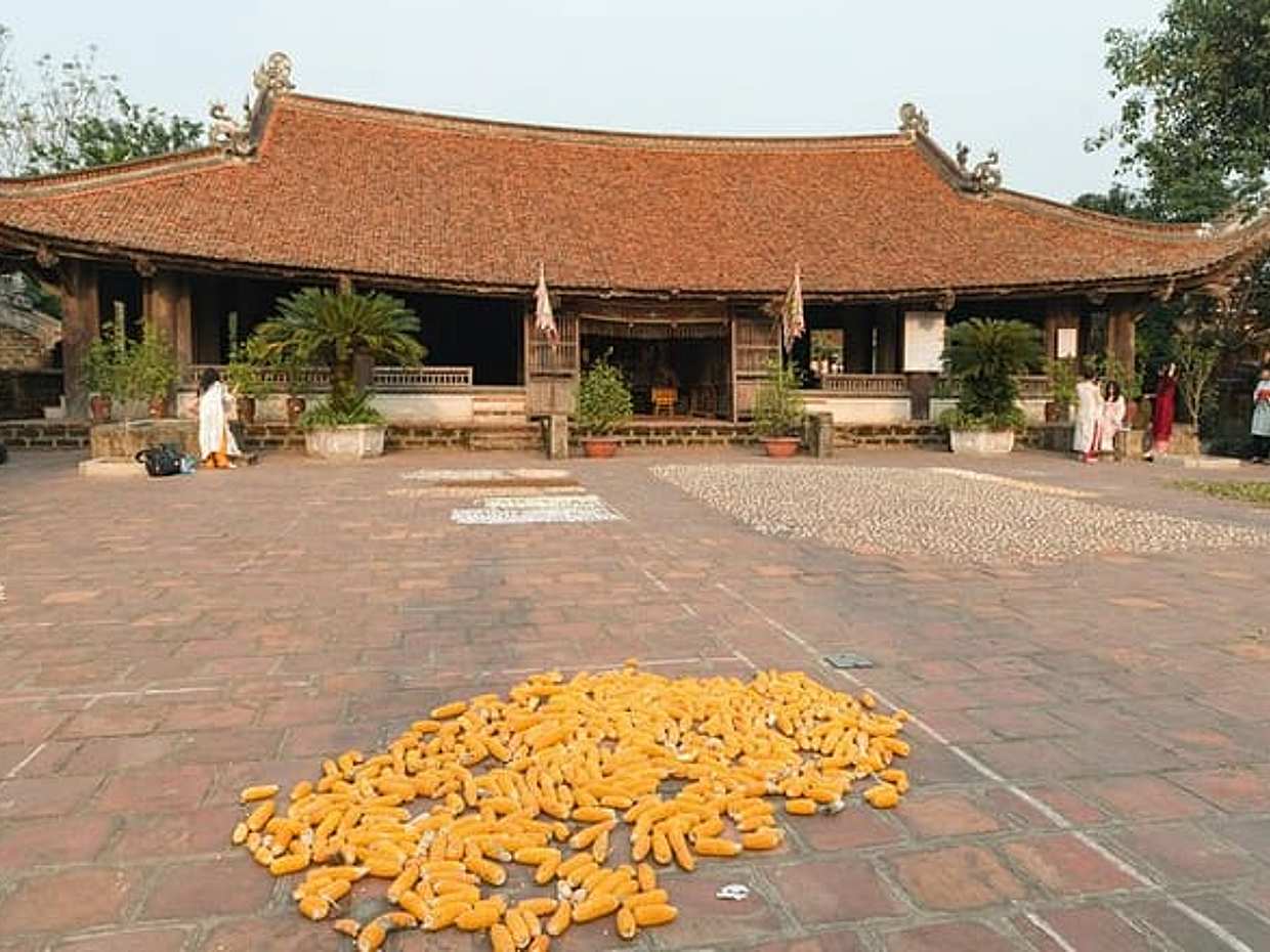 Full-Day Trip to Duong Lam Ancient Village With Jeep & Daily Life, photo 3