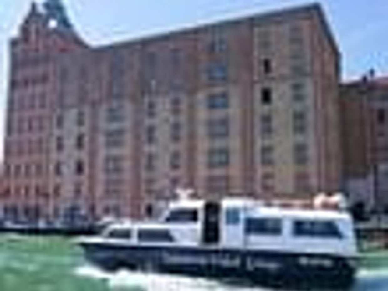Venezia: Noleggio motoscafo per 2 ore con aperitivo, photo 5