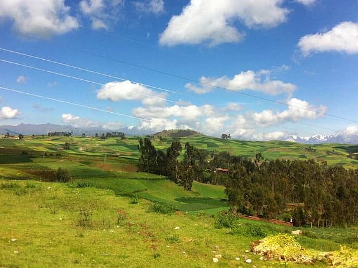 Classic Peru with Amazon Jungle Tour Package, photo 5