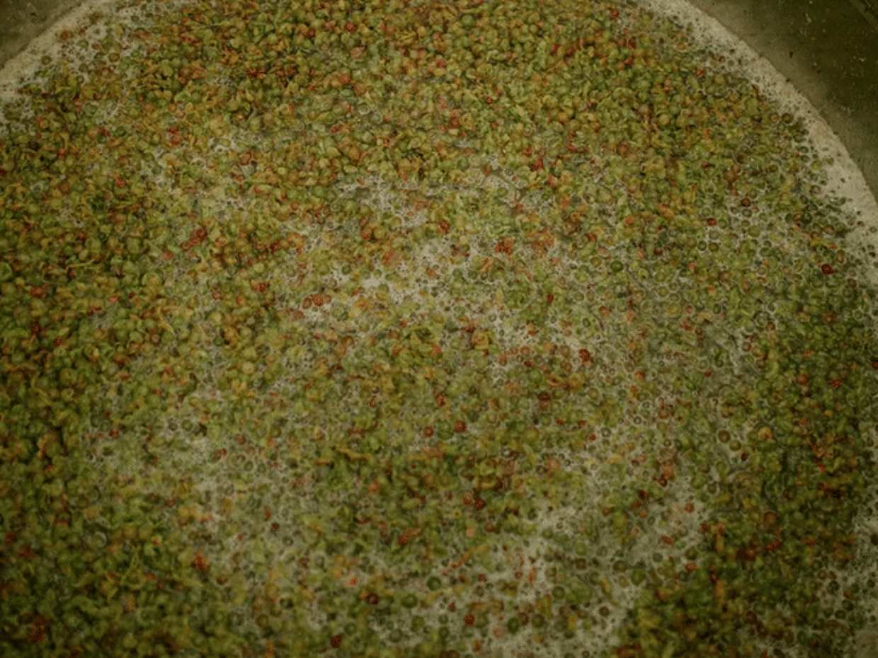 Marche Wines: Explore the Richness of Local Flavors, photo 3