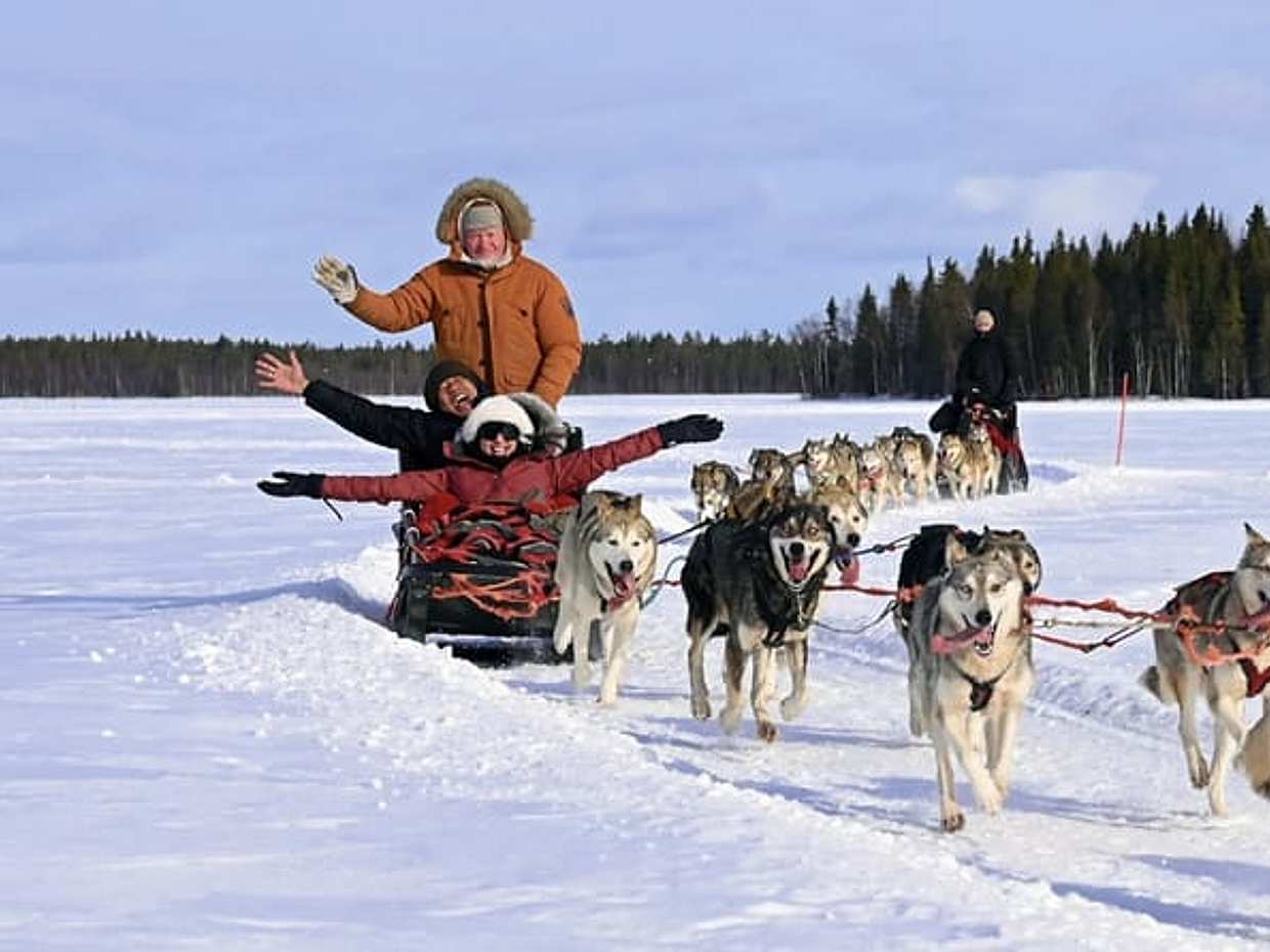 Husky Park and Musher-Driven safari 2 km, Levi