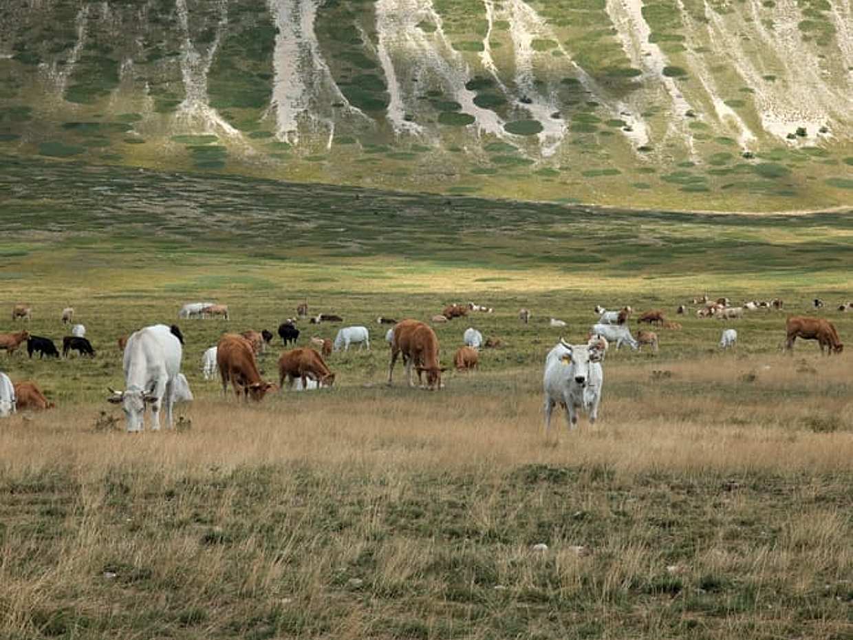Gran Sasso by E-Bike: Villages, Mountain, and Canoeing on the Tirino River, photo 2