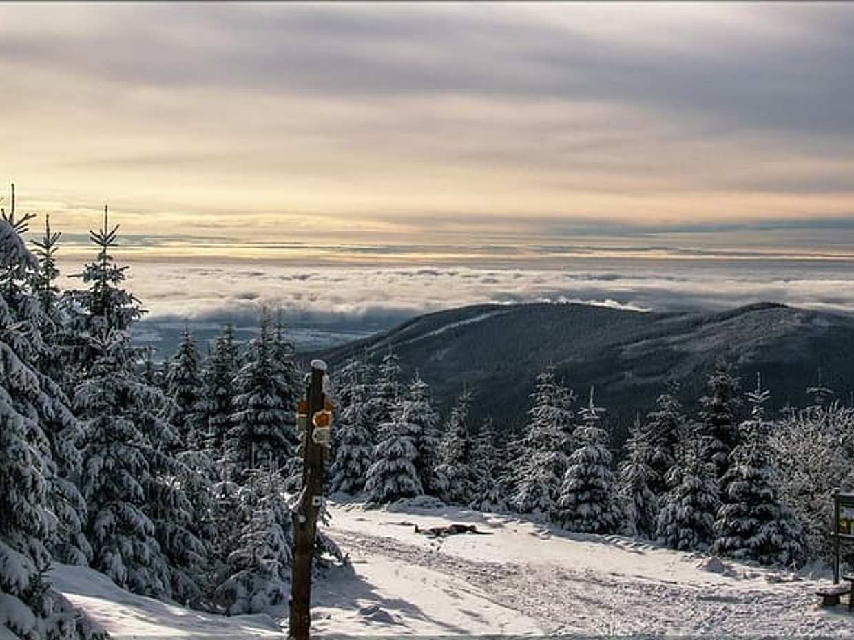 Private Transfer from Prague to Spindleruv Mlyn with 2 hours for sightseeing
