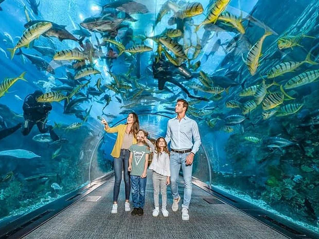 Dubai Aquarium and Underwater Zoo Tickets in United Arab Emirates