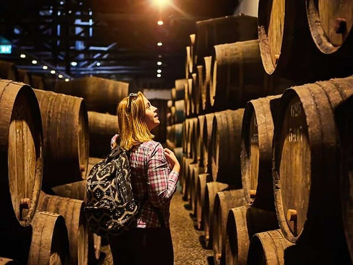 Ρώμη: Ιδιωτική Ημερήσια Εκδρομή Φρασκάτι - Ξενάγηση στην πόλη, μεσημεριανό και γευσιγνωσία κρασιού στην Ιταλία, Ρώμη, photo 5
