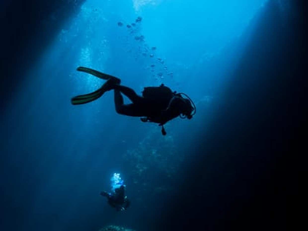 Duplo Mergulho numa Reserva Marinha em Portugal, Sesimbra.
, photo 5