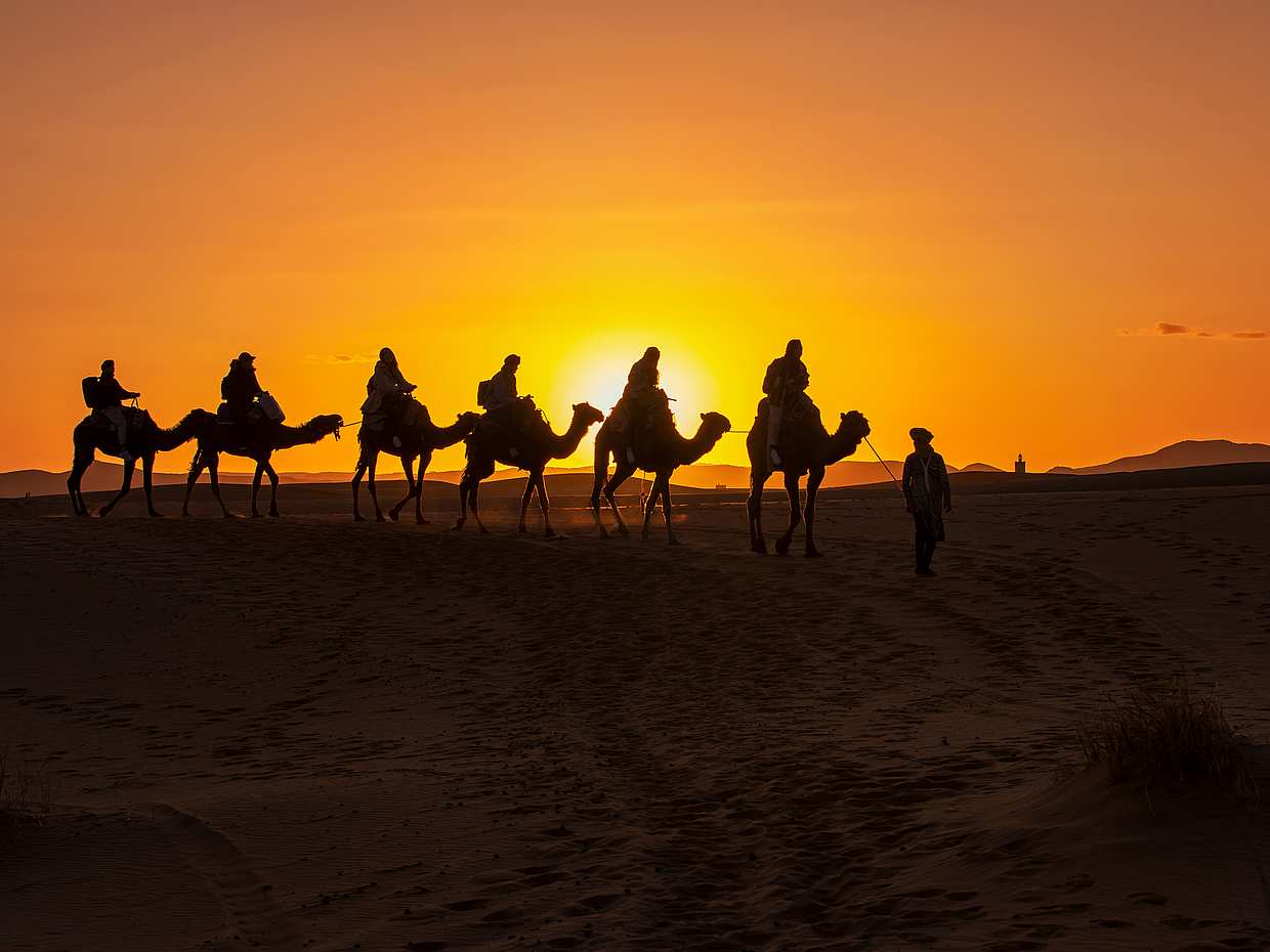 Private Afternoon Desert Safari with Camel Ride and Sandboarding