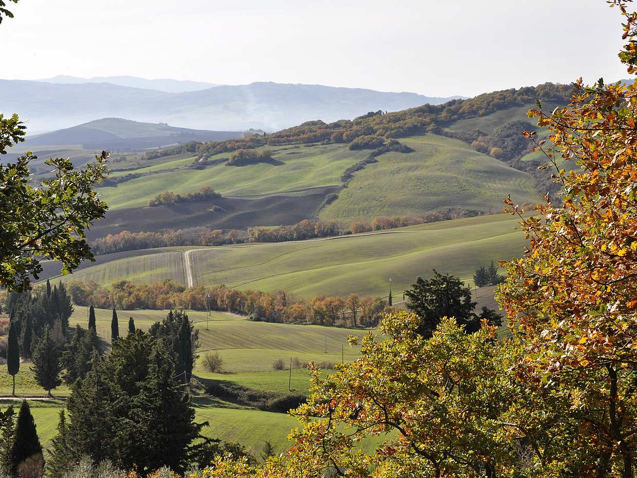 Exclusive Val d'Orcia Tour from Florence - A Cinematic Universe for Wine Lovers in Italy, photo 4
