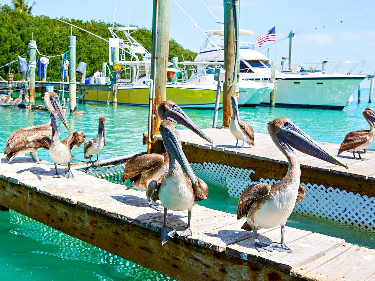 Key West Tour in den Vereinigten Staaten, Key West Sightseeing Touren.
, photo 4