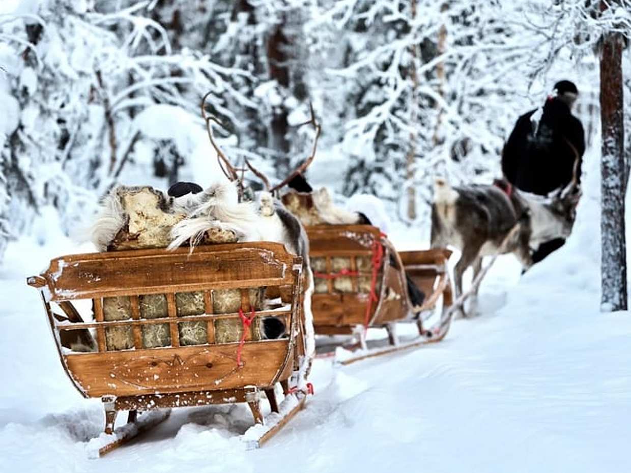 Reindeer farm and reindeer safari express 1 km, Levi, photo 5