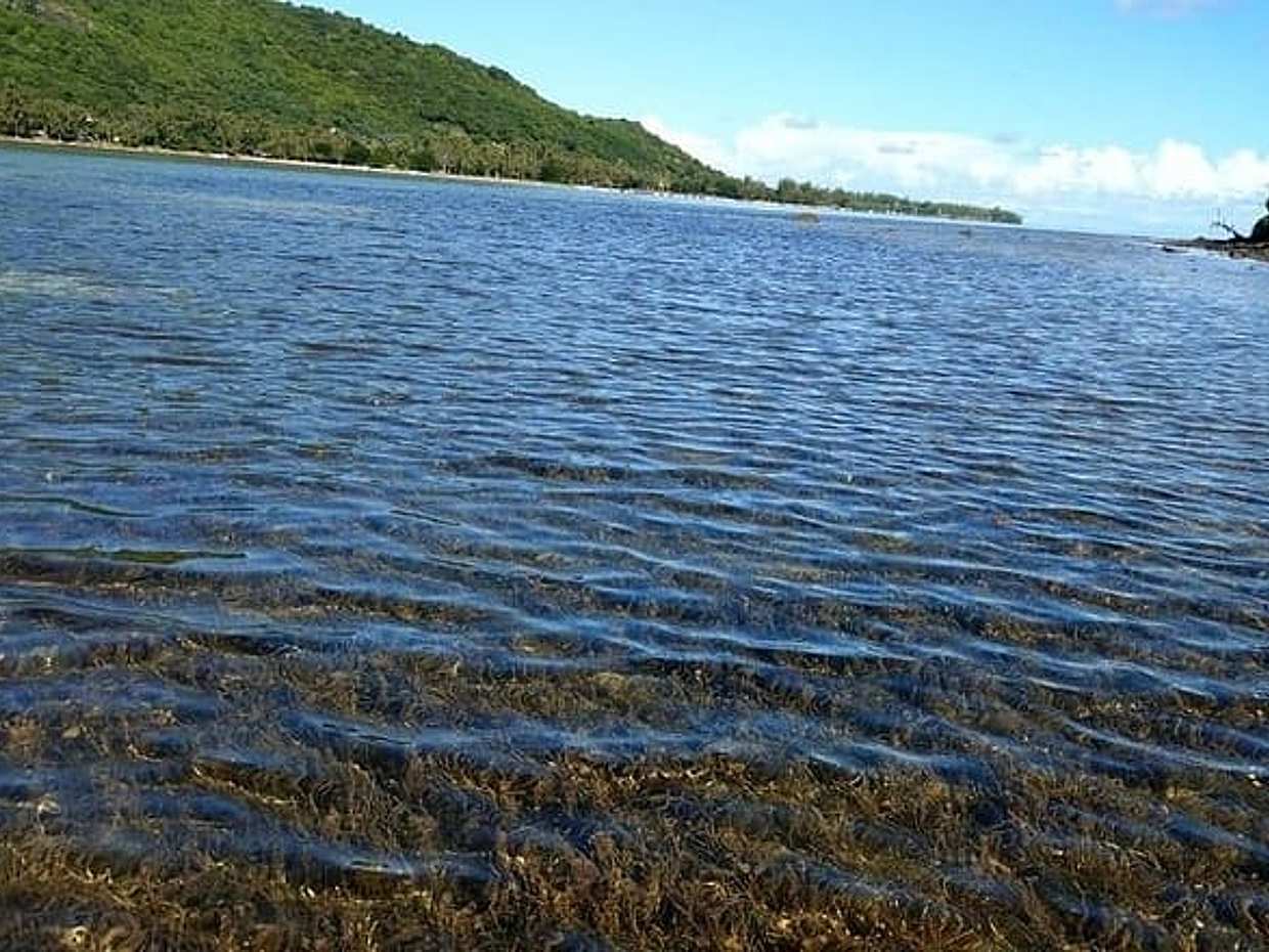 Discover the southwest of Mauritius: Barbecue Lunch at Îlot Fourneau private, photo 2