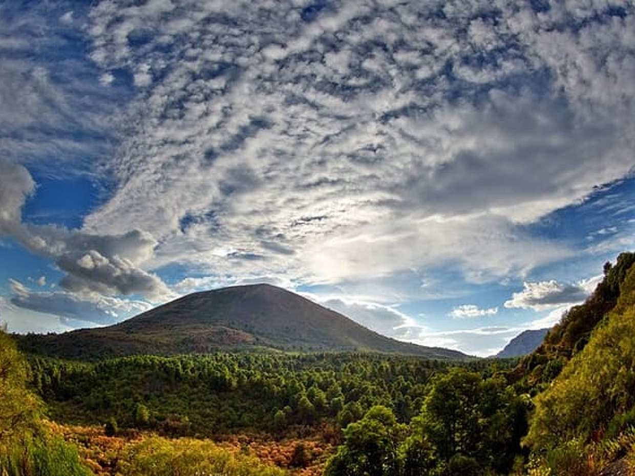 Discovering the Vesuvius - VIP tour / Small group, photo 2