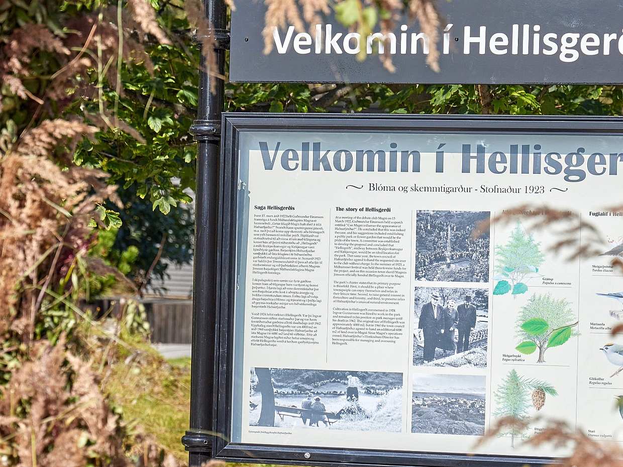 Private Hafnarfjörður Walking Tour in Iceland, photo 3