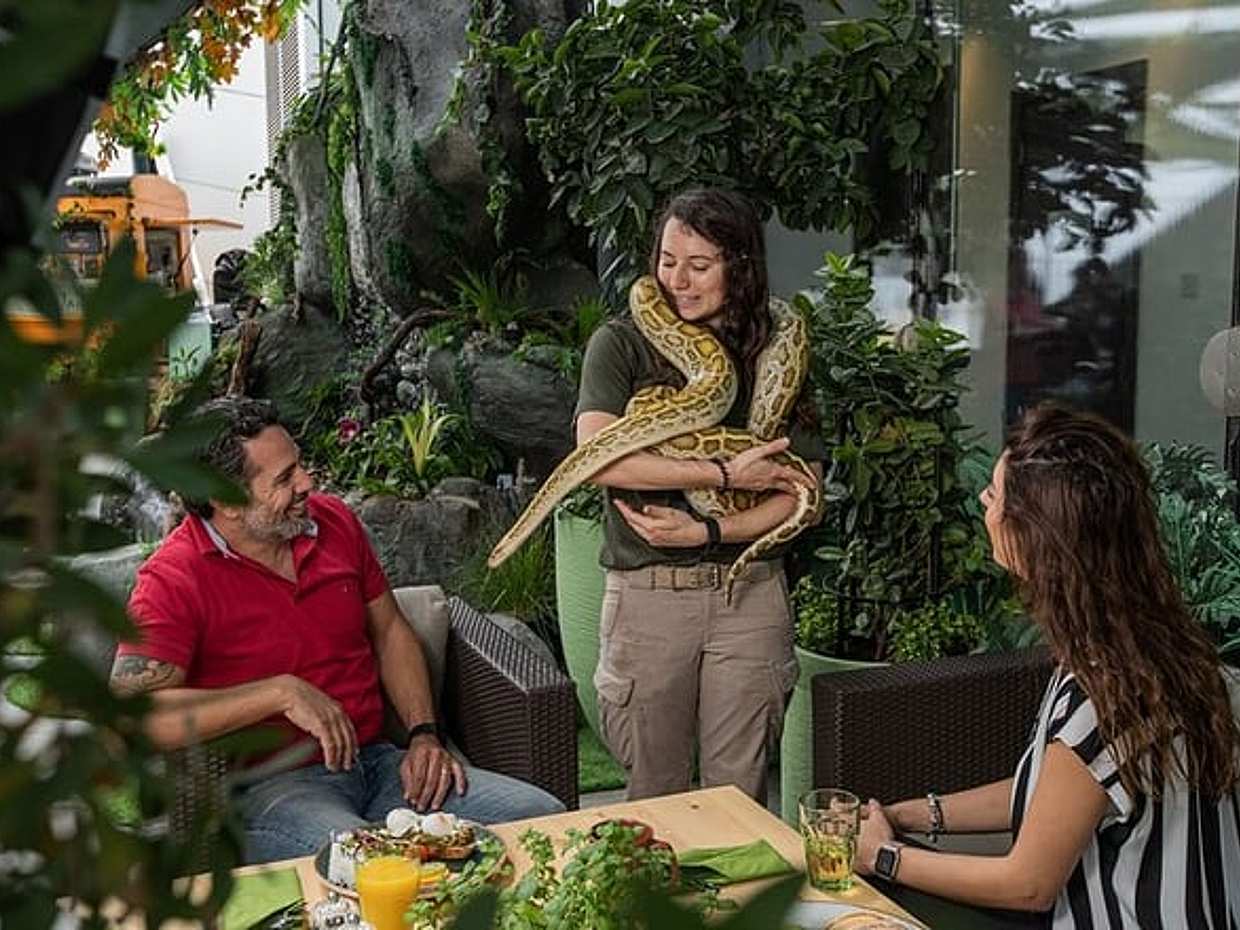 Full-Day Ticket to The Green Planet Dubai in United Arab Emirates, Sharjah