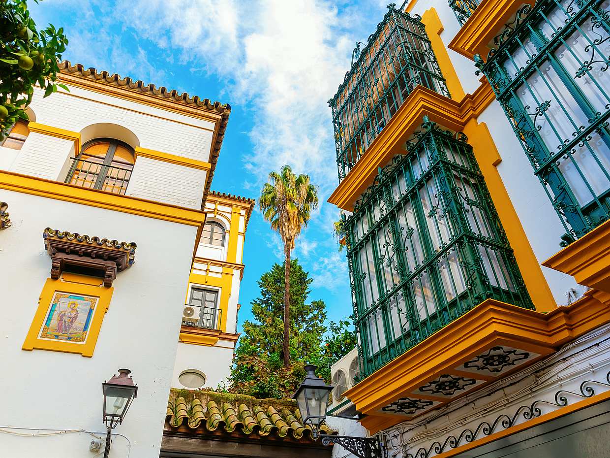 Colonial America Walking Tour in Seville, photo 3