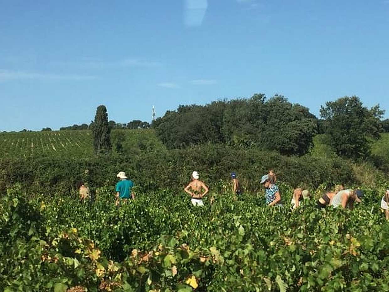 Heritage, wines and gastronomy - 3-day tour, photo 2