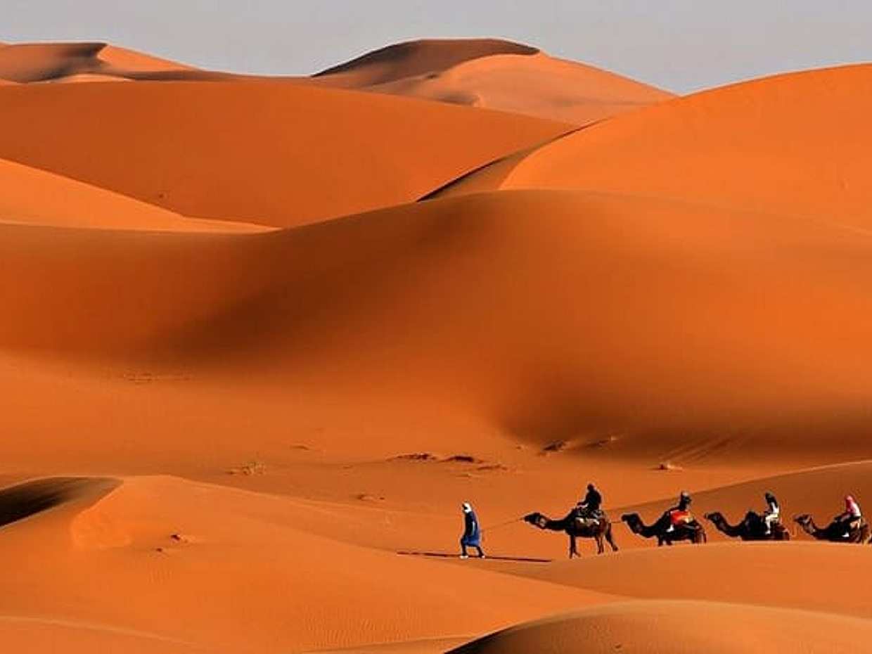 Desert Safari Dubai BBQ 晚餐和现场表演，阿联酋沙迦, photo 5