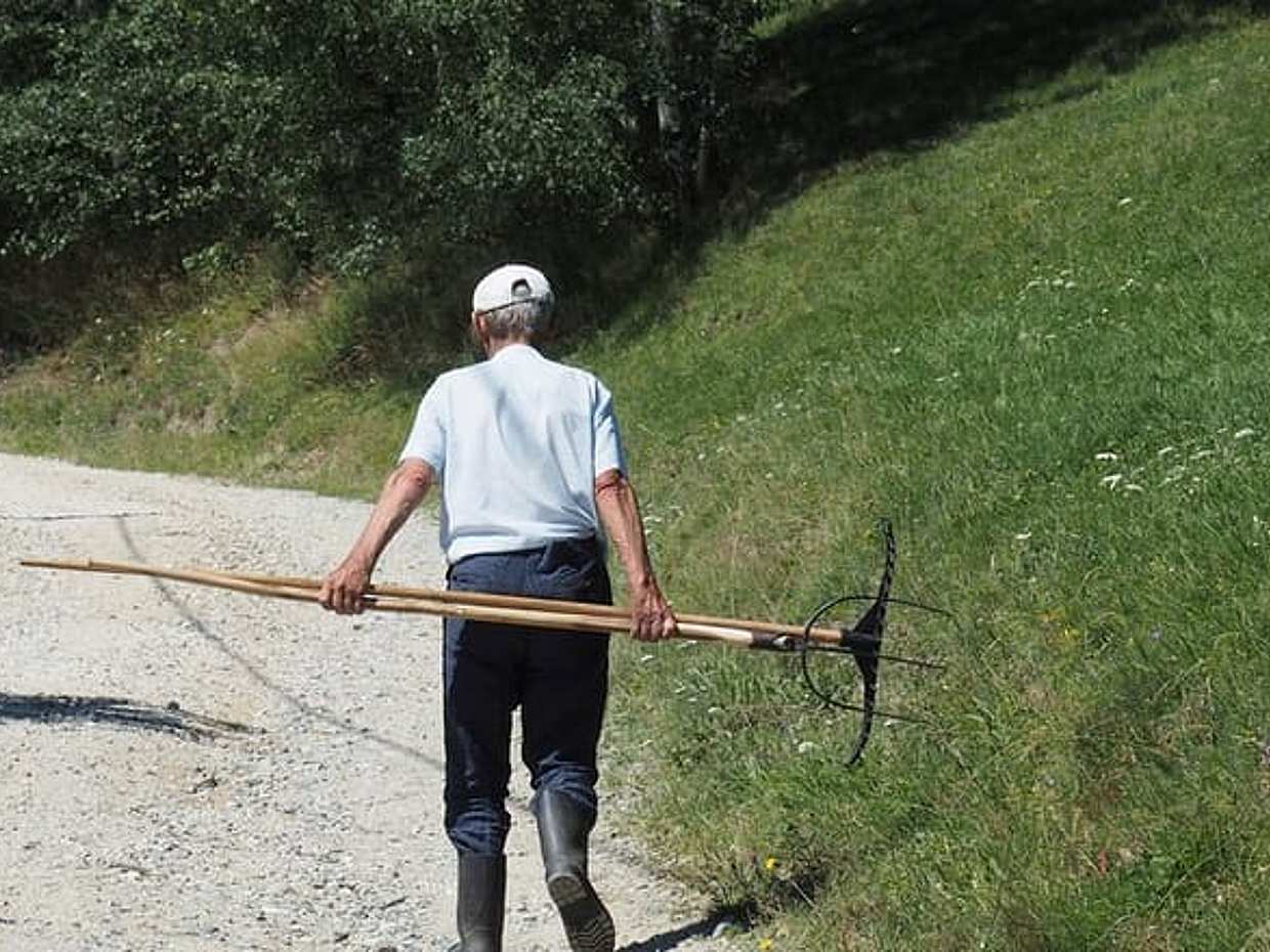 Malá skupinová jednodenní výprava do autentických rumunských horských vesnic z Brašova, Brašov, photo 3