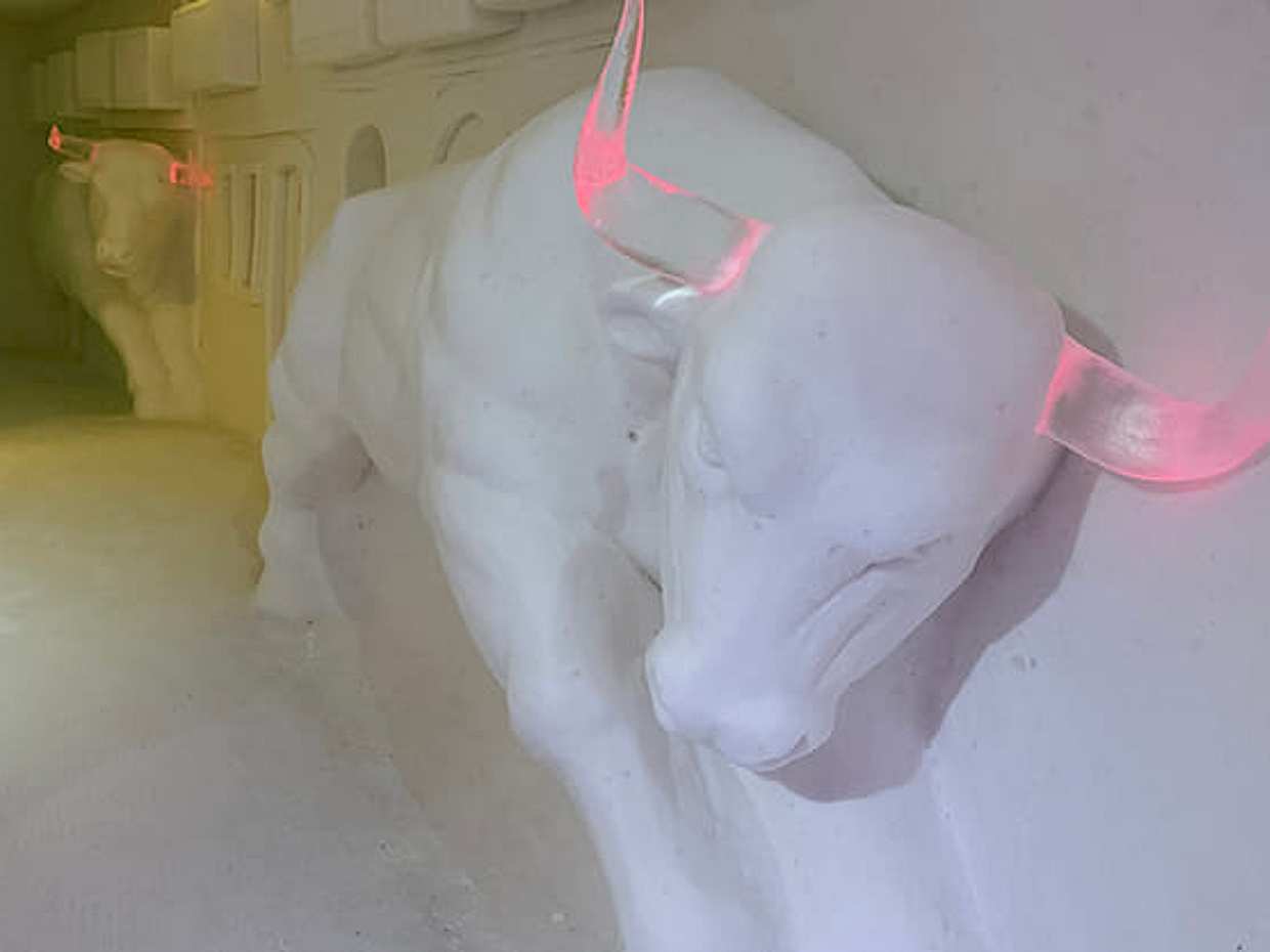 Lainio Snow Village Tour from Levi — Guided Visit, photo 3