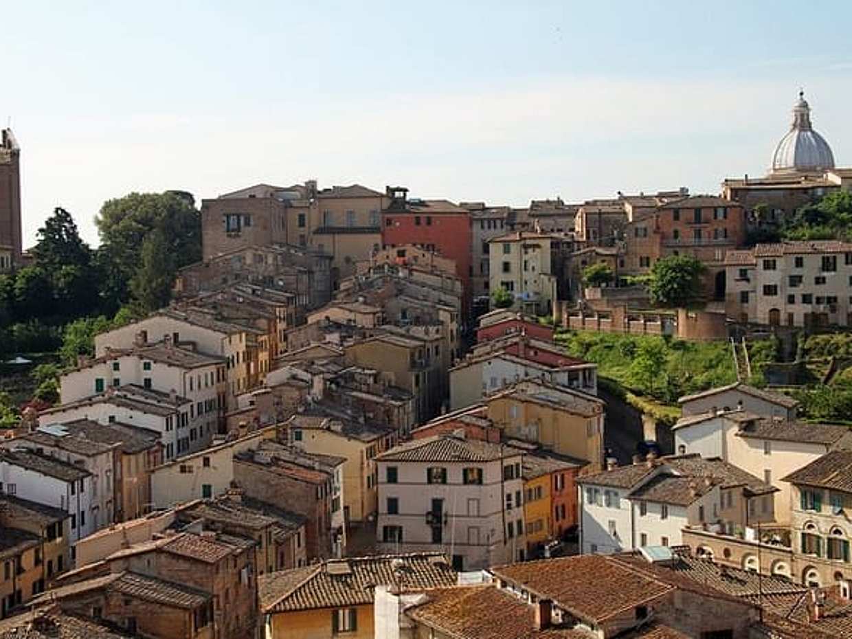 Discover Siena - Cathedral, Piazza del Campo & Medieval Treasures, photo 5