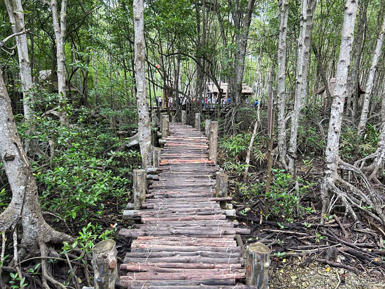 Private Eco Tour from Ho Chi Minh: Can Gio Mangroves, Monkeys & Local Lunch with multiple language tour guide, Vietnam, photo 5