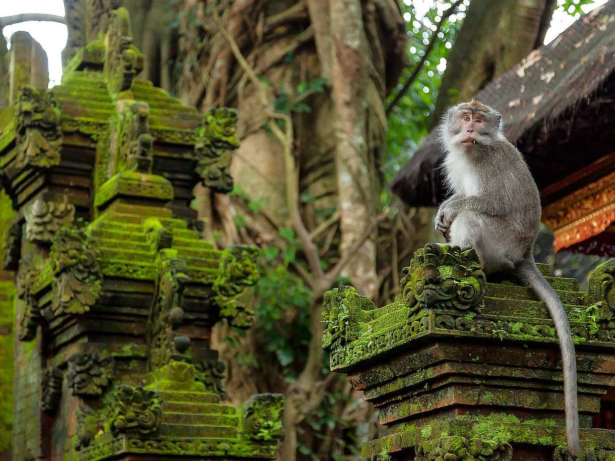 Ubud Art and Craft Tour in Bali, Indonesia, photo 2