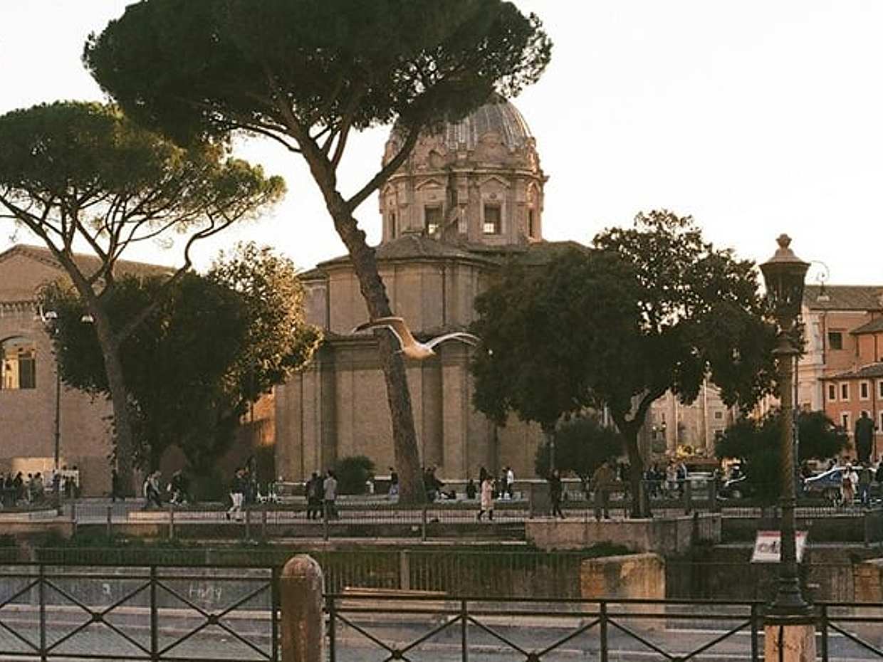 Civitavecchia Full-Day Rome Highlights With Tour Leader, photo 4