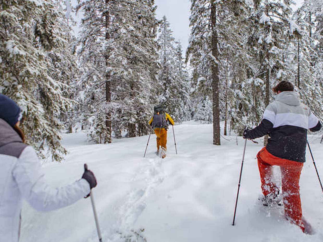 Snowshoe Tour in Winter Wonderland, photo 4