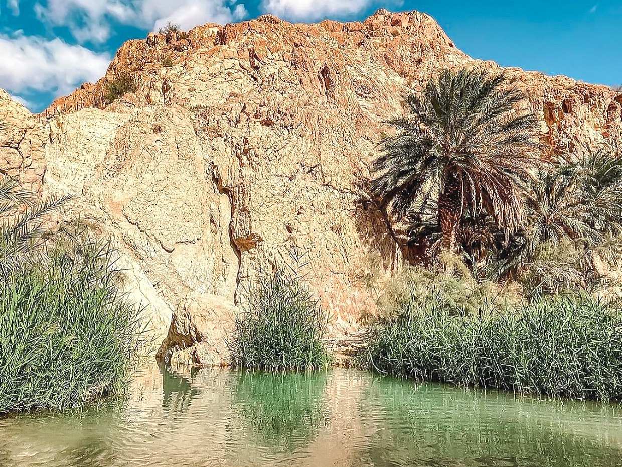 Stars & Hidden Lands: An Epic 3-Day Journey in Tunisia From Tozeur, photo 3
