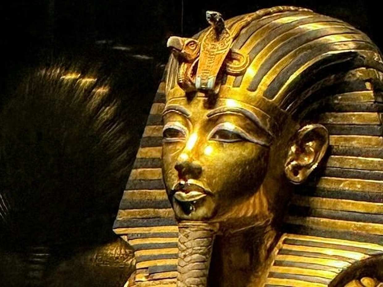 VIP Alexandria Port Shore Excursion to Giza Pyramids, Sphinx ،GEM, photo 5