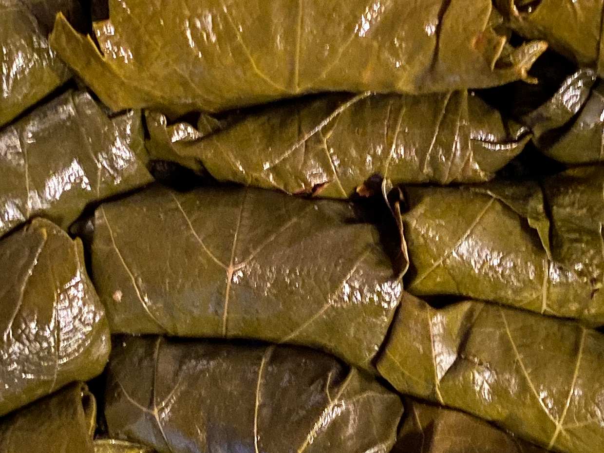 Частный гастротур с дегустацией и мастер-классом по приготовлению толмы в Ереване, Армения, photo 2