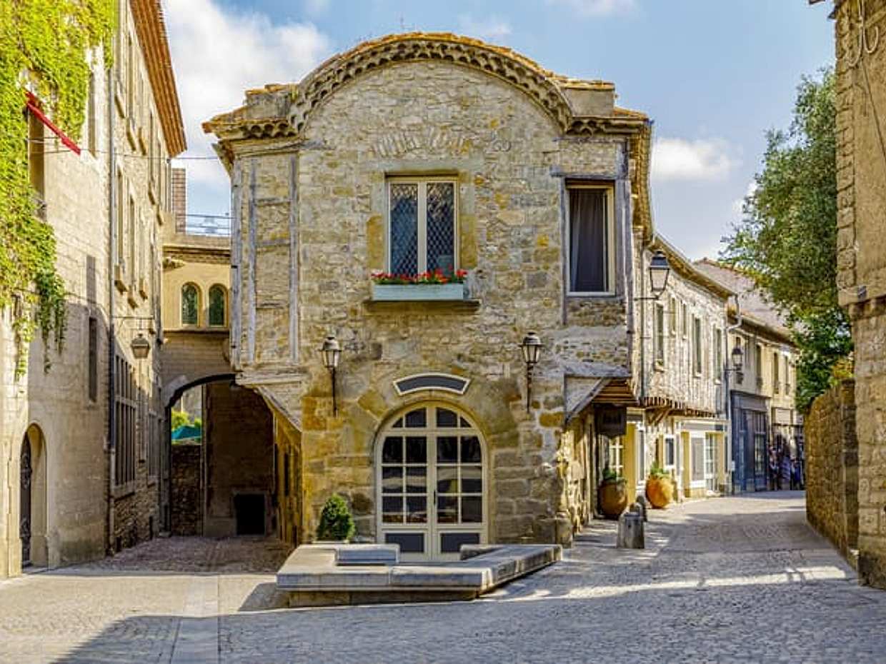 Private Excursion: Carcassonne & Languedoc Wine Tour from Port Vendres, photo 2