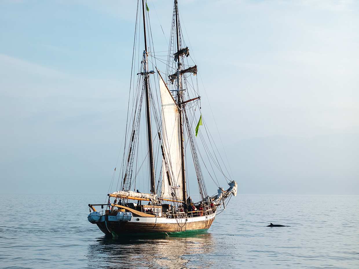Whale Watching on Sailboat from Húsavík in Iceland, photo 4
