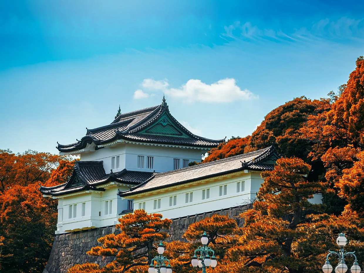 Prywatna wycieczka po Tokio z przewodnikiem komunikacją miejską w Japonii, spersonalizowana wycieczka po mieście samochodem.