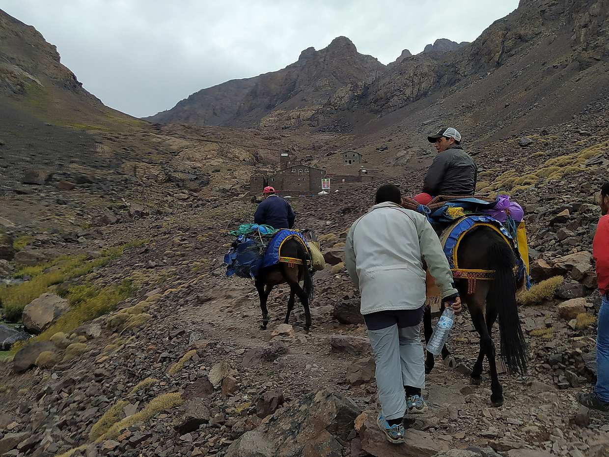 Toubkal Aufstieg 4167m 2 Tage Wandern in Marokko, Marrakesch
, photo 5