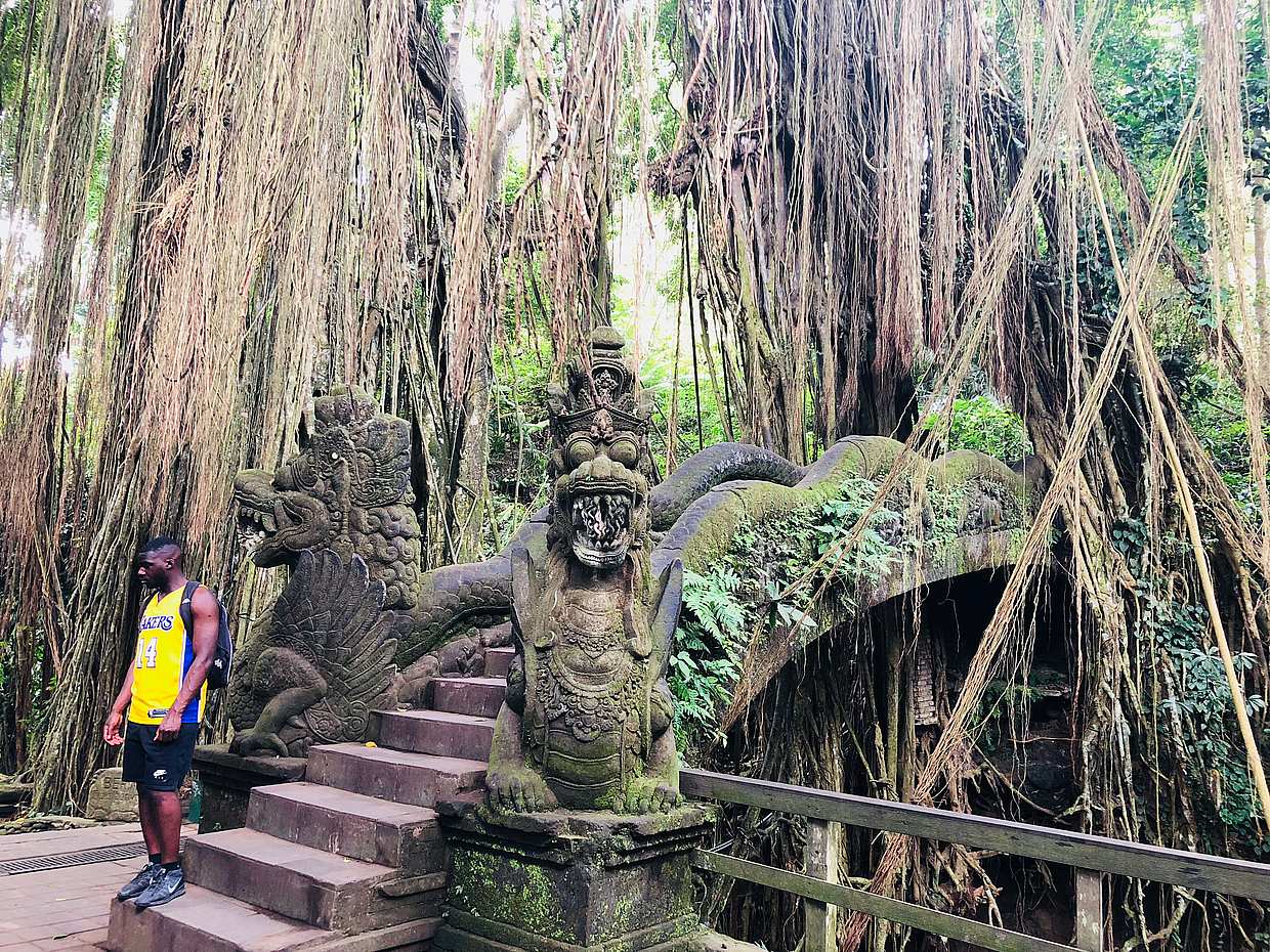 Ubud Tour: Лучшее в Убуде - Все включено в Индонезии, Бали.
, photo 3