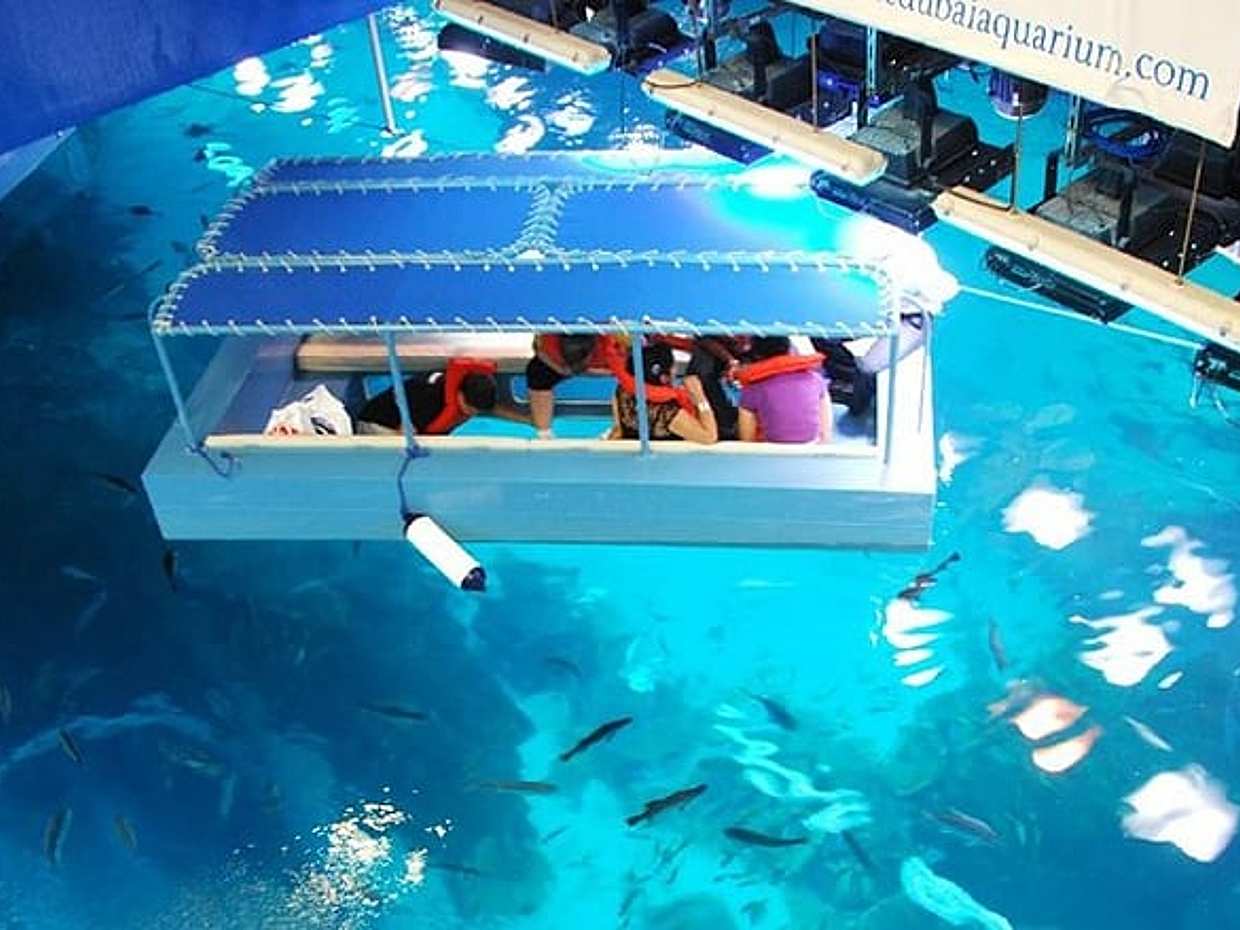 VIP Dubai Aquarium, photo 2