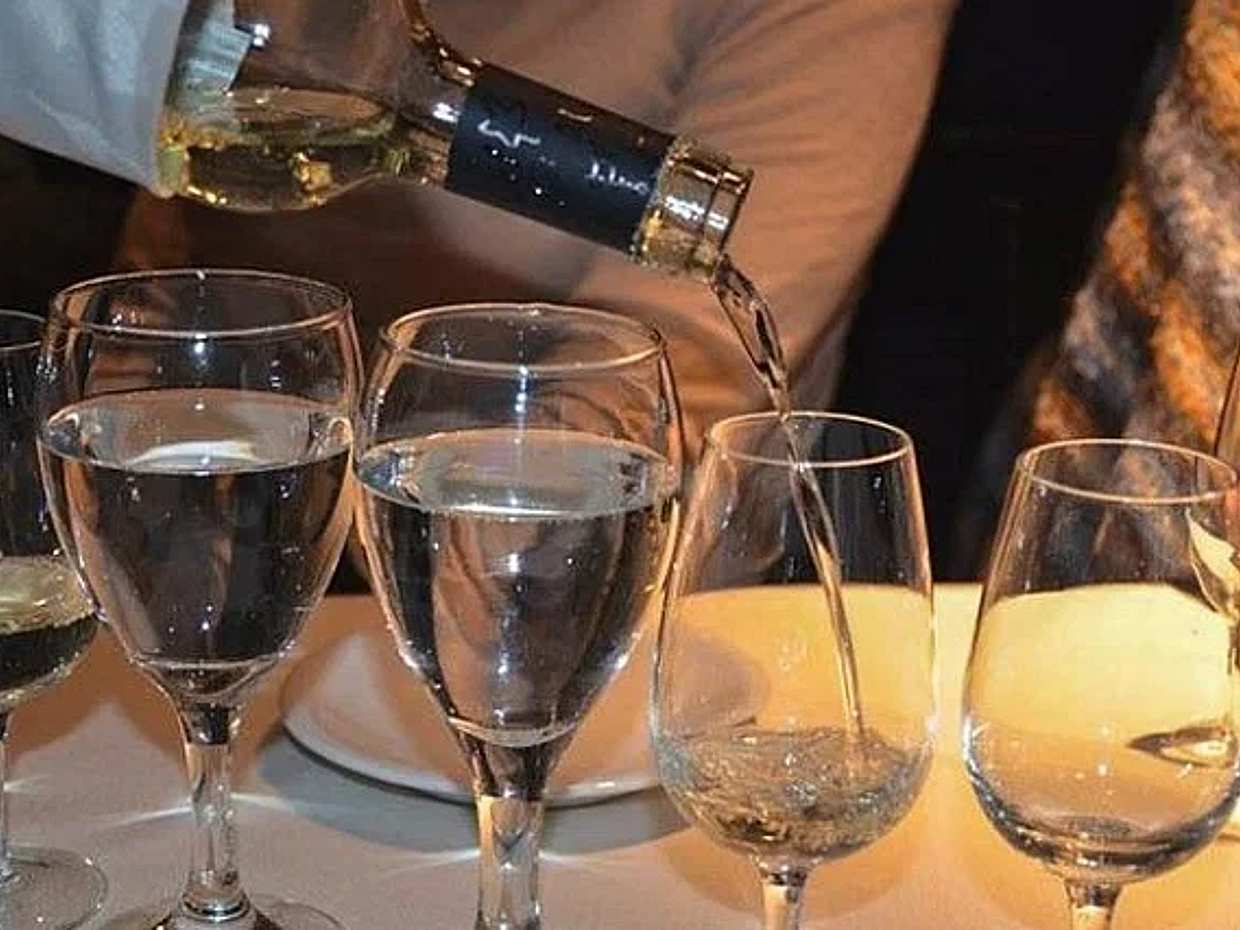 Wine Tasting with Tapas in Buenos Aires, photo 5