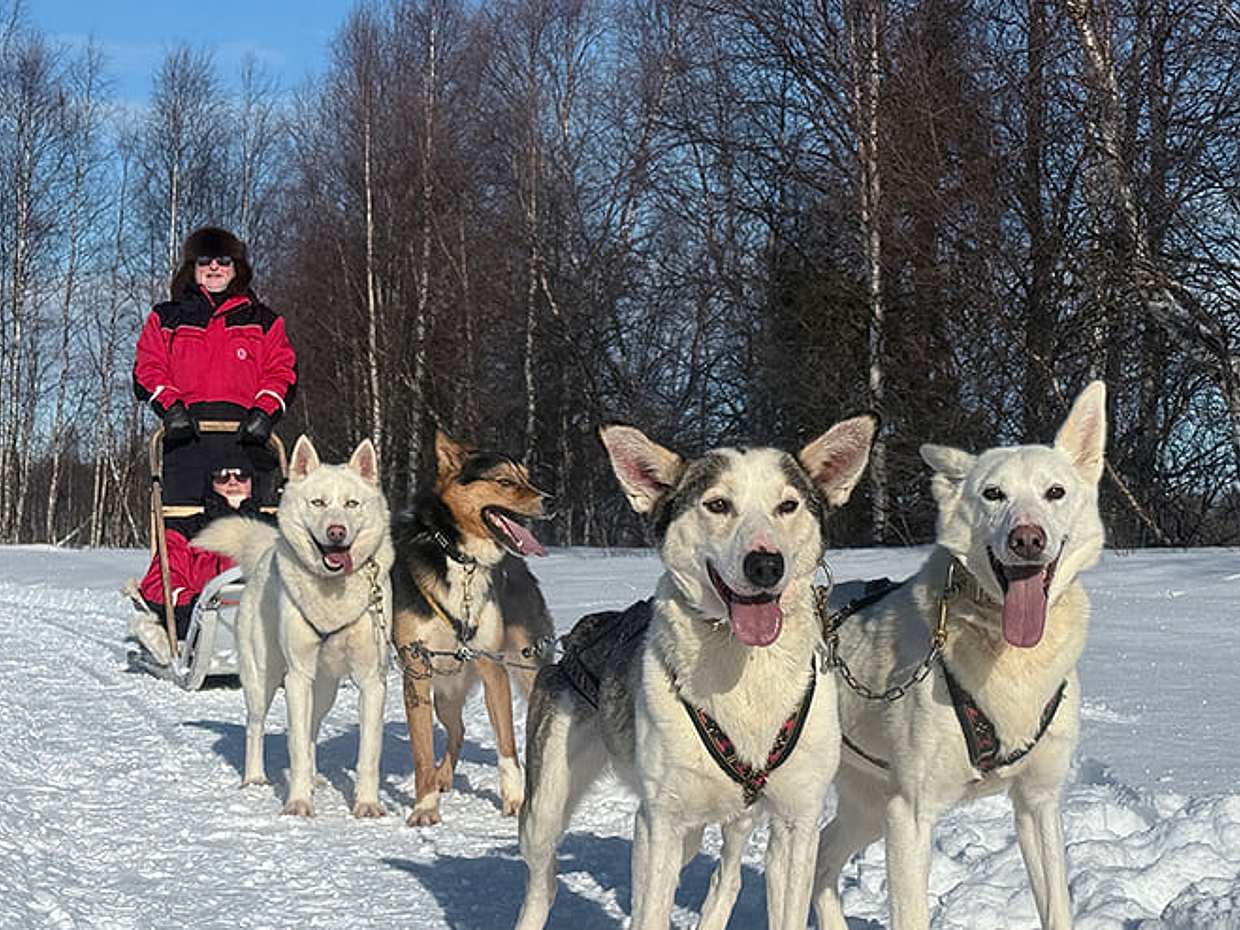 Husky Safari 5-6 km Self-Drive in a Hidden Forest Kennel, Levi, photo 4