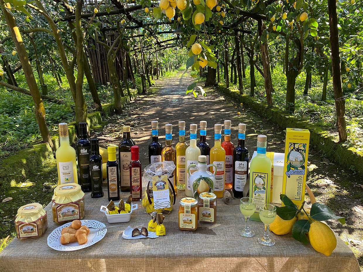 E-Bike Tour in Sorrent mit Limoncello-Verkostung in Italien, Sorrento E-Bike
, photo 3