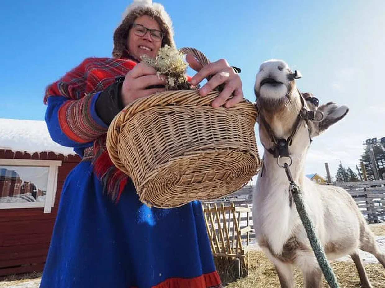 Sami Reindeer Safari Express by the Ounasjoki Rapids