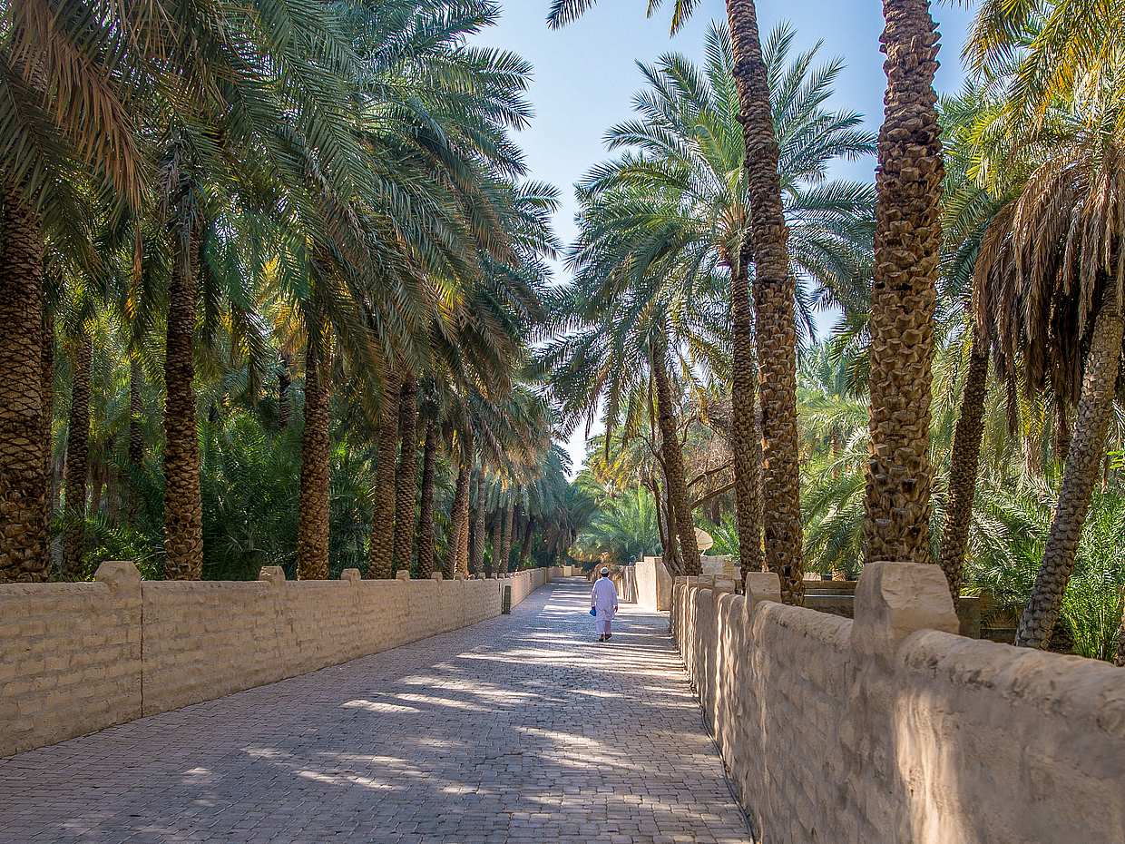 Abu Dabi'den Al Ain Vahasına Tam Günlük Tur, photo 3