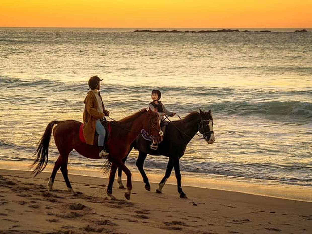 Horseback Riding – Tangier (Mountain & Sea) in Morocco