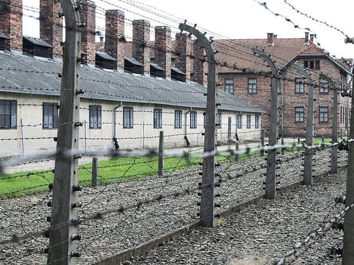 Private Day Trip From Vienna To Mauthausen and Melk in Austria
